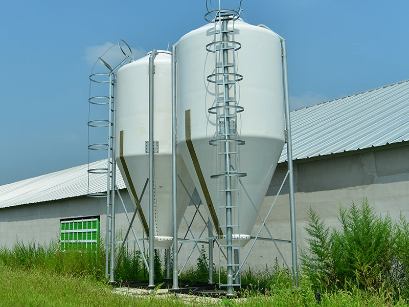 Automatic Breeder Floor Raising System Poultry Feeding Line