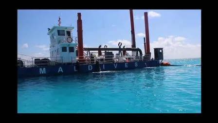 Usine professionnelle pour l'équipement minier de sable/boue/gravier de drague suceuse